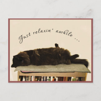 Zwarte kat op vakantie briefkaart