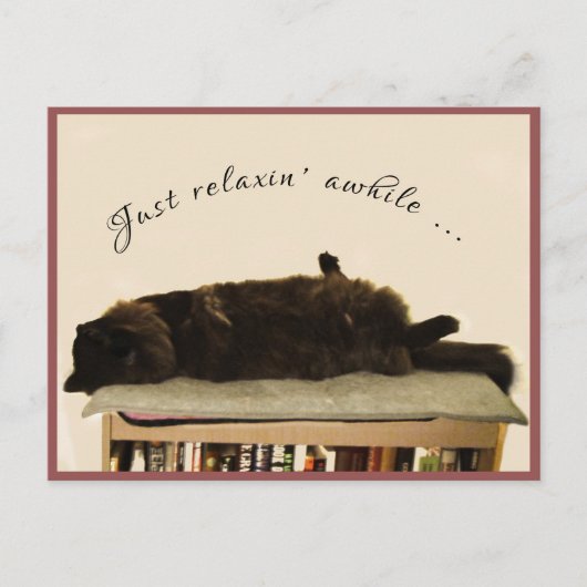 Zwarte kat op vakantie briefkaart (Voorkant)