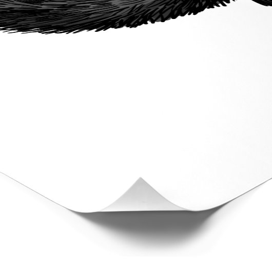 Zwarte kat perfect poster (Hoek)