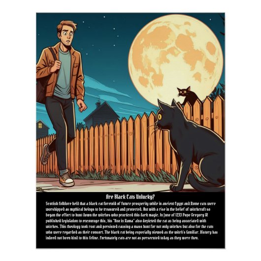 Zwarte kat perfect poster (Voorkant)