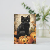  zwarte kat pompoen decoupage briefkaart (Staand voorkant)