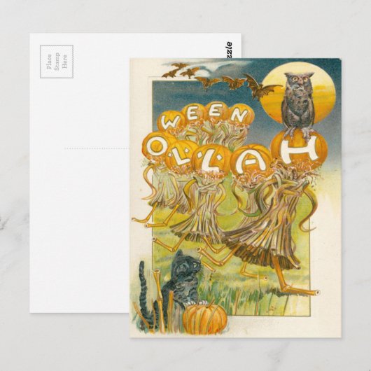 Zwarte Kat Pompoen Uil Bat Maan Briefkaart (Voorkant / Achterkant)