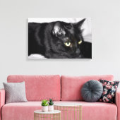 Zwarte kat portret canvas afdruk (Insitu (Woonkamer))