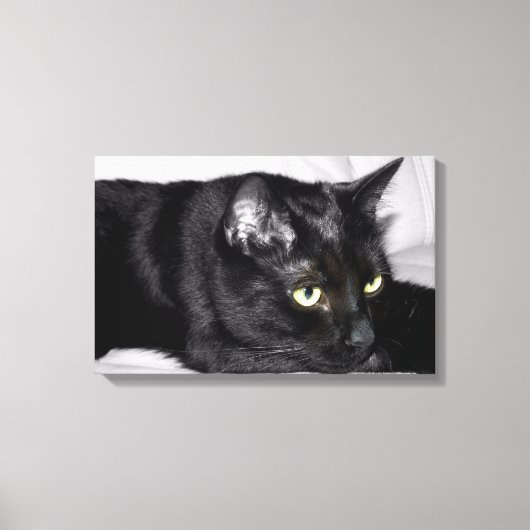 Zwarte kat portret canvas afdruk (Voorkant)