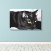 Zwarte kat portret canvas afdruk (Insitu (Houten vloer))