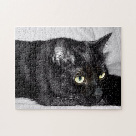Zwarte kat portret legpuzzel (Horizontaal)
