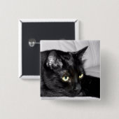 Zwarte kat portret vierkante button 5,1 cm (Voorkant /achterkant)