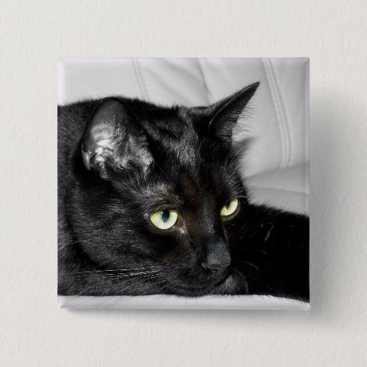 Zwarte kat portret vierkante button 5,1 cm (Voorkant)