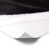 Zwarte kat poster (Hoek)