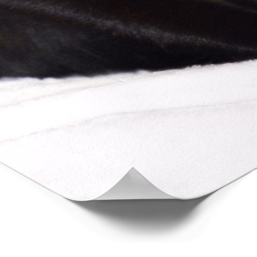 Zwarte kat poster (Hoek)