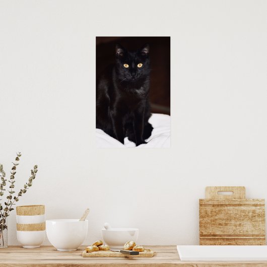 Zwarte kat poster (Keuken)
