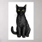 Zwarte kat poster (Voorkant)