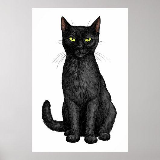 Zwarte kat poster (Voorkant)