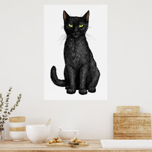 Zwarte kat poster