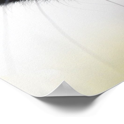 Zwarte kat poster (Hoek)