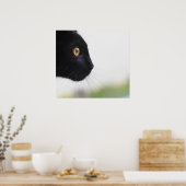 Zwarte kat poster (Keuken)