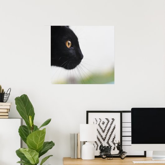 Zwarte kat poster (Thuiskantoor)