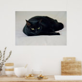 Zwarte kat poster (Keuken)