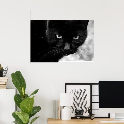 Zwarte kat poster (Thuiskantoor)