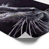 Zwarte kat poster (Hoek)