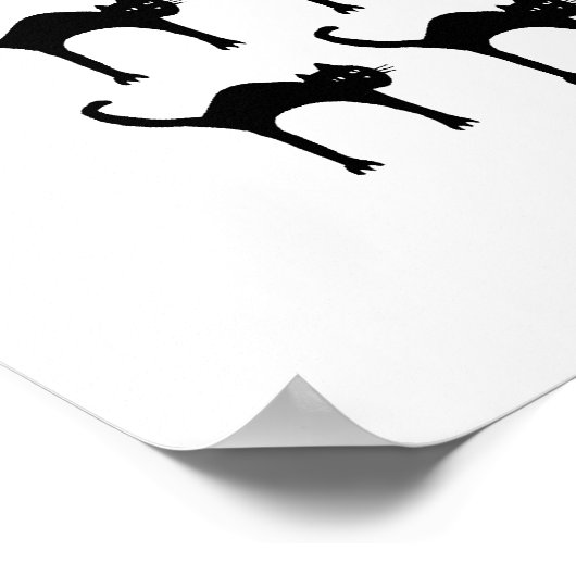 Zwarte kat poster (Hoek)