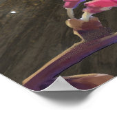 Zwarte kat poster (Hoek)