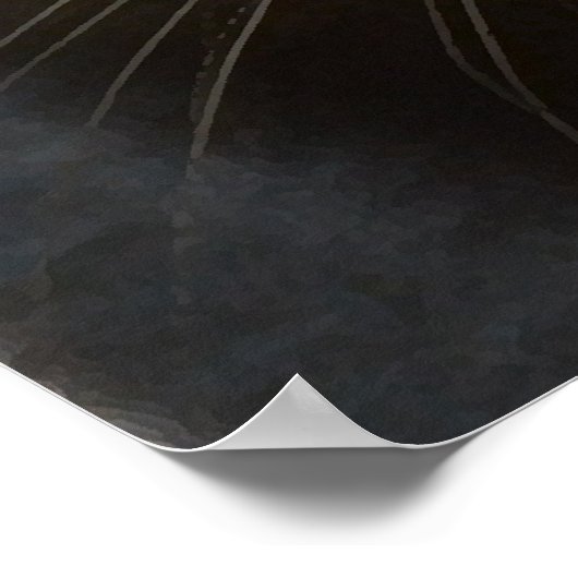 Zwarte kat poster (Hoek)