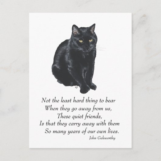 Zwarte-kat regenboogbrug briefkaart (Voorkant)