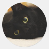 Zwarte kat ronde sticker (Voorkant)