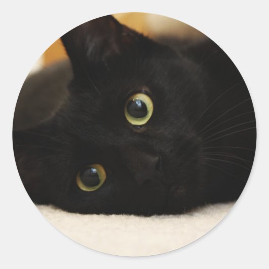 Zwarte kat ronde sticker (Voorkant)