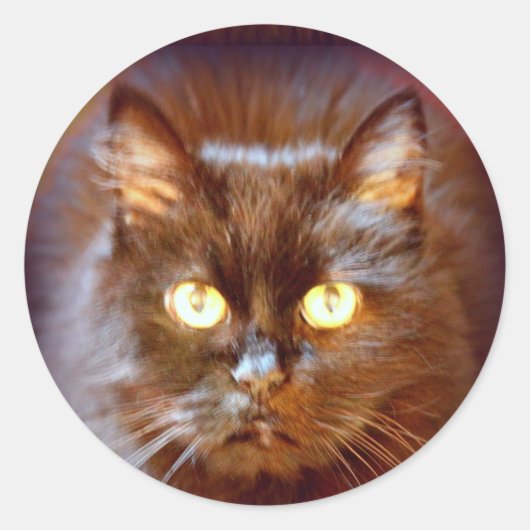 zwarte kat ronde sticker (Voorkant)