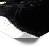 Zwarte kat / rood wit blauw poster (Hoek)