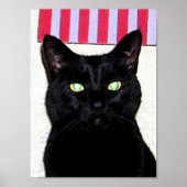 Zwarte kat / rood wit blauw poster (Voorkant)