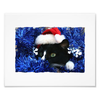 Zwarte kat, Santa hat, blauwe kuip, klaar om te sp Foto Afdruk