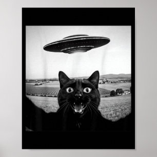Zwarte Kat Selfie Ufo Alien Grappige Cadeaus Voor  Poster