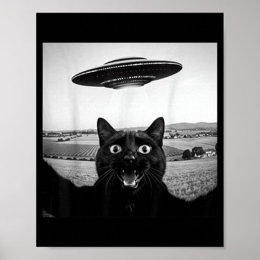 Zwarte Kat Selfie Ufo Alien Grappige Cadeaus Voor Poster (Voorkant)
