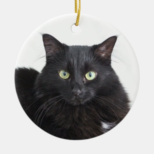 Zwarte kat-sierplant keramisch ornament (Voorkant)
