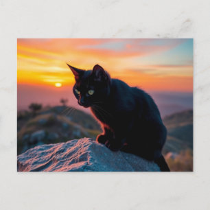 Zwarte Kat Silhouet bij Zonsondergang Ansichtkaart Briefkaart