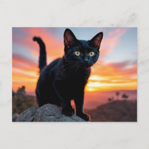 Zwarte Kat Silhouet bij Zonsondergang Ansichtkaart Briefkaart