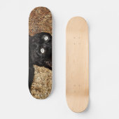 zwarte kat skateboard (Voorkant)