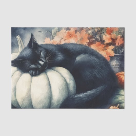 Zwarte Kat Slapend op een Witte Pompoen Decoupage Tissuepapier (Voorkant)
