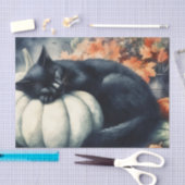 Zwarte Kat Slapend op een Witte Pompoen Decoupage Tissuepapier (Craft)
