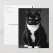 Zwarte Kat Smaragd Ogen Briefkaart (Voorkant / Achterkant)