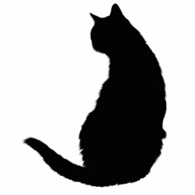 Zwarte kat staand fotobeeldje  (Voorkant)