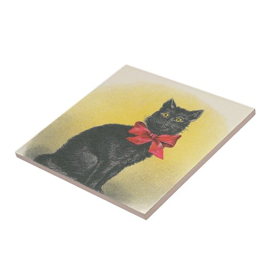 Zwarte kat tegeltje (Zijkant)