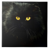 Zwarte kat tegeltje (Voorkant)