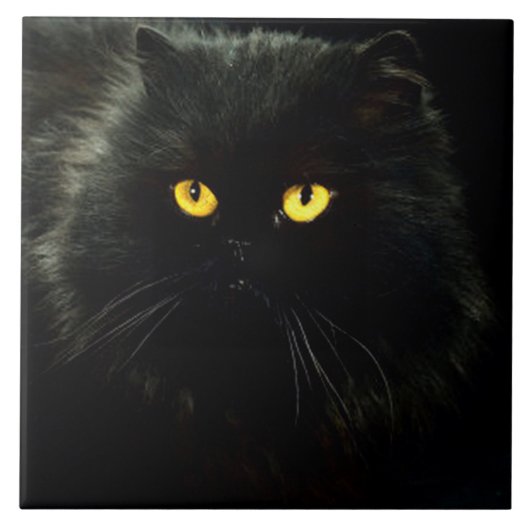 Zwarte kat tegeltje (Voorkant)