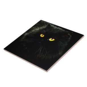 Zwarte kat tegeltje
