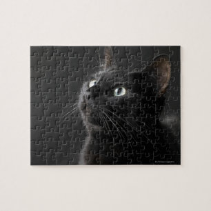 Zwarte kat tegen zwarte achtergrond, close-up legpuzzel