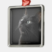 Zwarte kat tegen zwarte achtergrond, close-up metalen ornament (Links)
